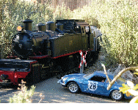 ARDECHE MINIATURE_3