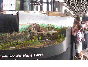 Haut Forez 4