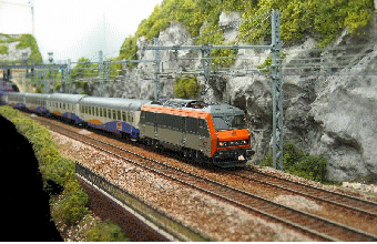 dijon 205