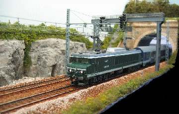 dijon 208
