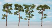 Pins-maritimes-2-300x167