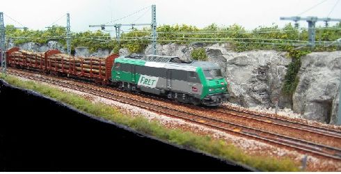 dijon207