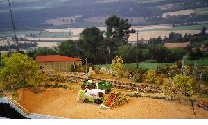 IMGP5002