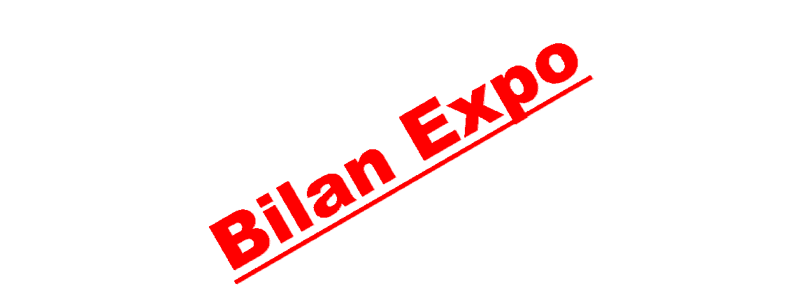 Bilan Expo