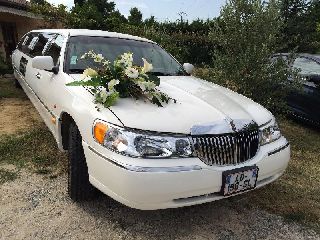 Limo_6