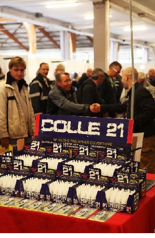 IMG_2803-copy