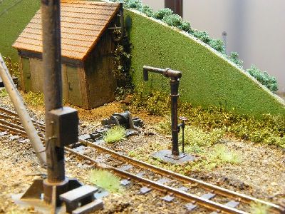 BCF (6)