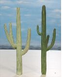 Cactus-candelabre-1-R-238x300