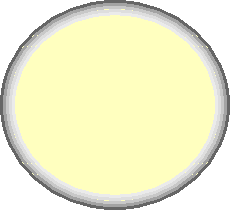 Shape4